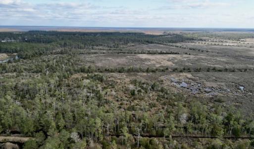 Photo #6 of SOLD property in Off Lowland Road, Lowland, NC 38.8 acres