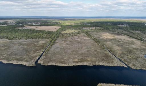Photo #28 of SOLD property in Off Lowland Road, Lowland, NC 41.5 acres