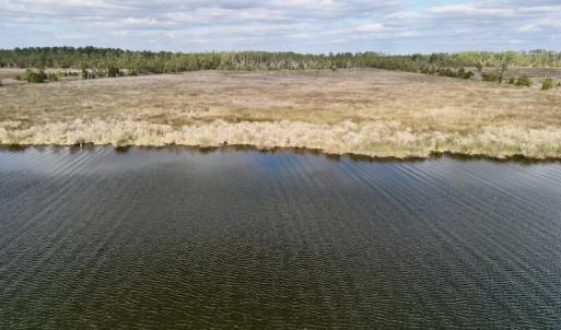 Photo #29 of SOLD property in Off Lowland Road, Lowland, NC 41.5 acres
