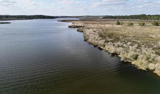 Photo #30 of SOLD property in Off Lowland Road, Lowland, NC 41.5 acres