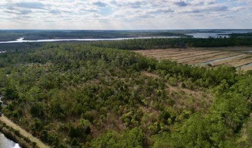 Photo #38 of SOLD property in Off Lowland Road, Lowland, NC 41.5 acres