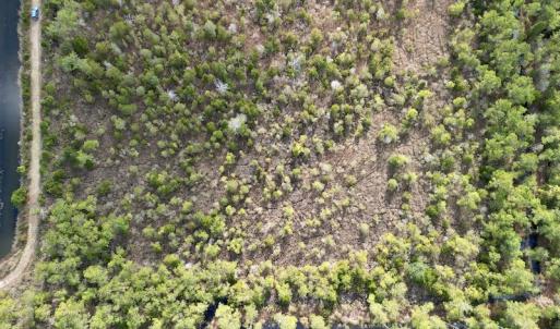 Photo #39 of SOLD property in Off Lowland Road, Lowland, NC 41.5 acres