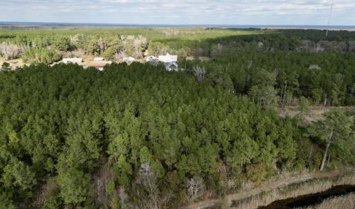 Photo #10 of SOLD property in Off Lowland Road, Lowland, NC 41.5 acres