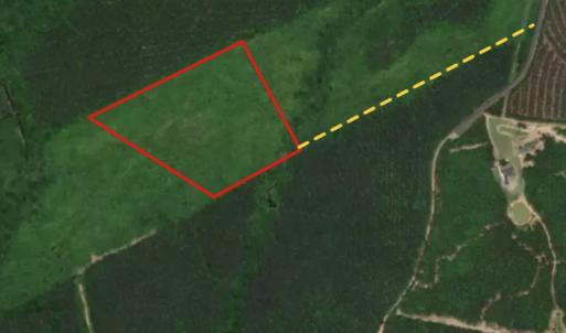 Photo #1 of SOLD property in Off Beamon Hunt Road, Warrenton, NC 16.0 acres