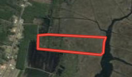 Photo #1 of SOLD property in Off Lowland Road, Lowland, NC 38.8 acres