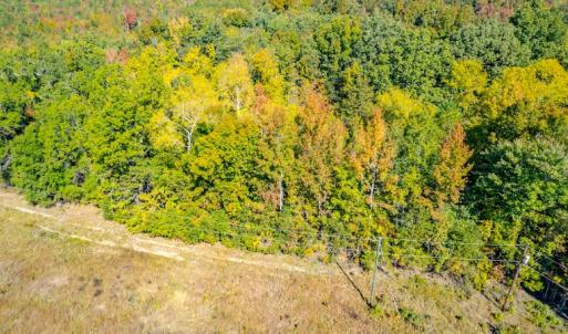 Photo #14 of SOLD property in 1282 Country Club Drive, Chase City, VA 64.1 acres