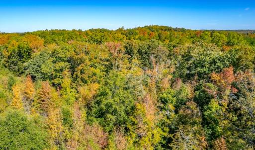 Photo #19 of SOLD property in 1282 Country Club Drive, Chase City, VA 64.1 acres