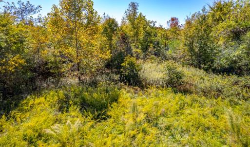 Photo #21 of SOLD property in 1282 Country Club Drive, Chase City, VA 64.1 acres
