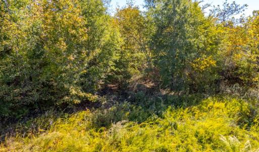 Photo #22 of SOLD property in 1282 Country Club Drive, Chase City, VA 64.1 acres