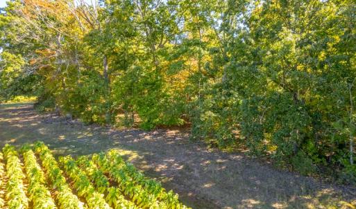 Photo #25 of SOLD property in 1282 Country Club Drive, Chase City, VA 64.1 acres
