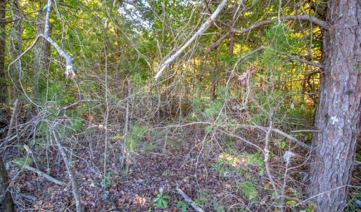Photo #27 of SOLD property in 1282 Country Club Drive, Chase City, VA 64.1 acres