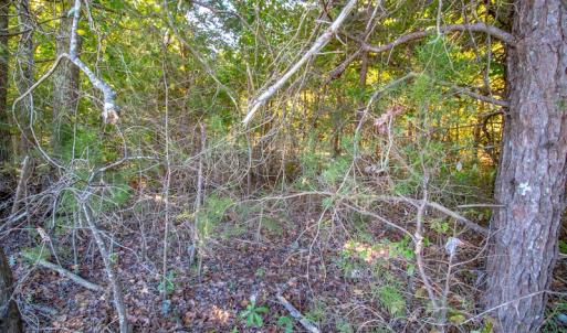 Photo #27 of SOLD property in 1282 Country Club Drive, Chase City, VA 64.1 acres