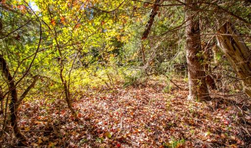 Photo #37 of SOLD property in 1282 Country Club Drive, Chase City, VA 64.1 acres