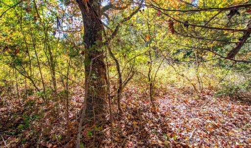 Photo #38 of SOLD property in 1282 Country Club Drive, Chase City, VA 64.1 acres