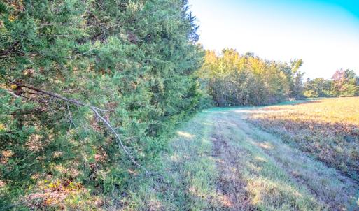 Photo #42 of SOLD property in 1282 Country Club Drive, Chase City, VA 64.1 acres