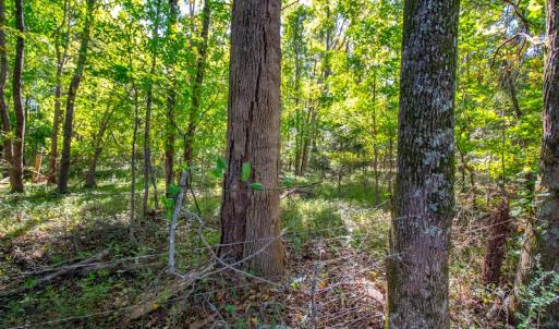 Photo #39 of SOLD property in 1282 Country Club Drive, Chase City, VA 64.1 acres
