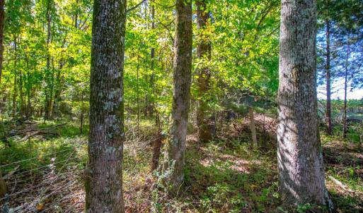 Photo #40 of SOLD property in 1282 Country Club Drive, Chase City, VA 64.1 acres