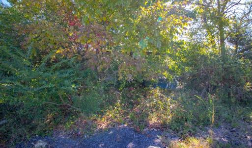 Photo #46 of SOLD property in 1282 Country Club Drive, Chase City, VA 64.1 acres