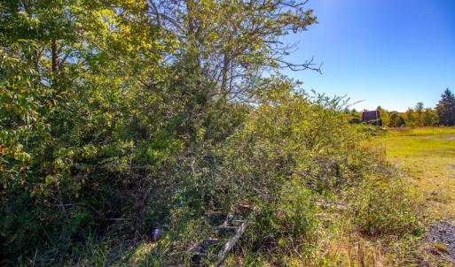 Photo #48 of SOLD property in 1282 Country Club Drive, Chase City, VA 64.1 acres