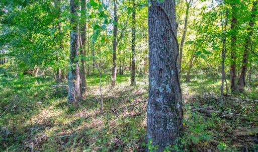 Photo #41 of SOLD property in 1282 Country Club Drive, Chase City, VA 64.1 acres