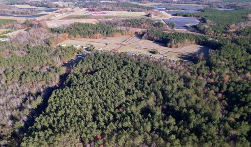 Photo #10 of SOLD property in Off Woodridge Road, Enfield, NC 27.9 acres