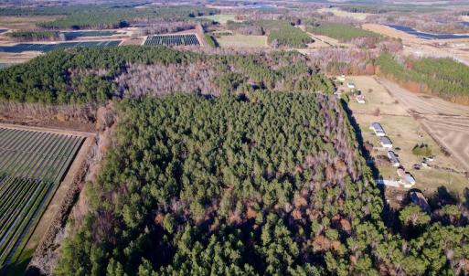 Photo #12 of SOLD property in Off Woodridge Road, Enfield, NC 27.9 acres