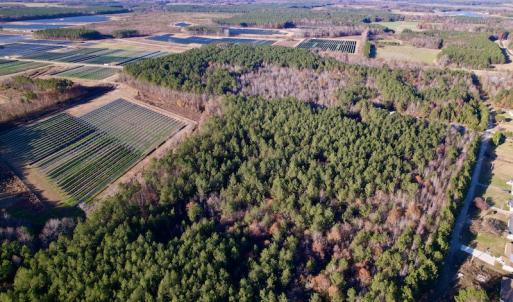 Photo #13 of SOLD property in Off Woodridge Road, Enfield, NC 27.9 acres