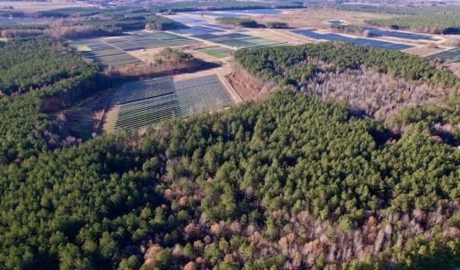 Photo #14 of SOLD property in Off Woodridge Road, Enfield, NC 27.9 acres