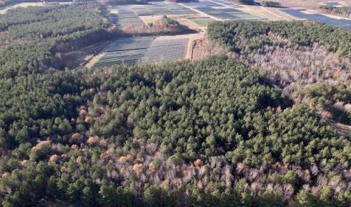 Photo #15 of SOLD property in Off Woodridge Road, Enfield, NC 27.9 acres