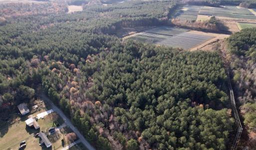 Photo #16 of SOLD property in Off Woodridge Road, Enfield, NC 27.9 acres