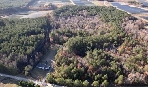 Photo #17 of SOLD property in Off Woodridge Road, Enfield, NC 27.9 acres