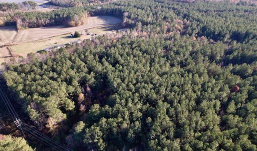 Photo #18 of SOLD property in Off Woodridge Road, Enfield, NC 27.9 acres