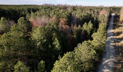 Photo #21 of SOLD property in Off Woodridge Road, Enfield, NC 27.9 acres