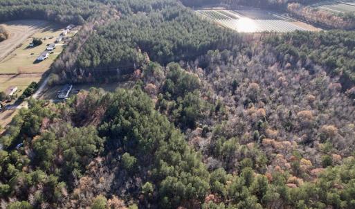 Photo #3 of SOLD property in Off Woodridge Road, Enfield, NC 27.9 acres