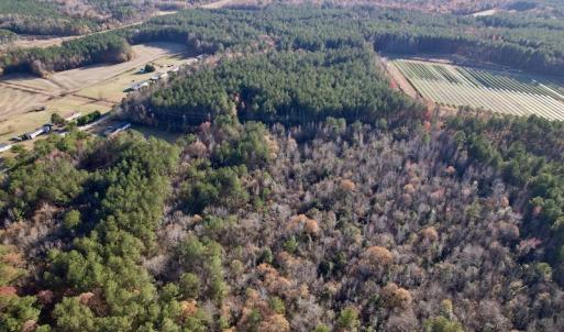 Photo #4 of SOLD property in Off Woodridge Road, Enfield, NC 27.9 acres