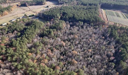 Photo #5 of SOLD property in Off Woodridge Road, Enfield, NC 27.9 acres