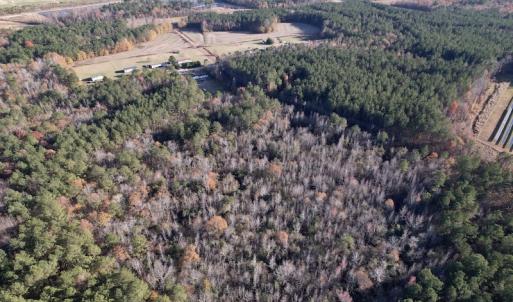 Photo #6 of SOLD property in Off Woodridge Road, Enfield, NC 27.9 acres