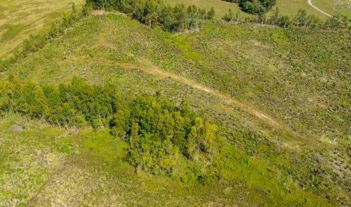 Photo #20 of SOLD property in Off S NC HWY 62, Burlington, NC 10.8 acres