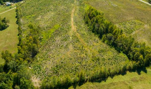 Photo #13 of SOLD property in Off S NC HWY 62, Burlington, NC 10.8 acres