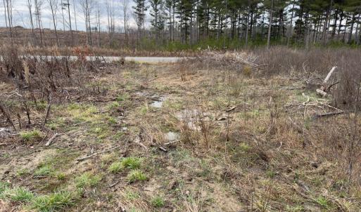 Photo #21 of SOLD property in Off S NC HWY 62, Burlington, NC 10.8 acres