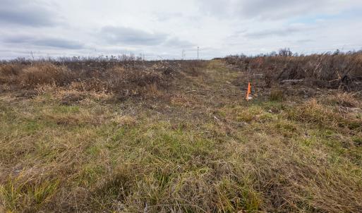 Photo #15 of SOLD property in Off S NC HWY 62, Burlington, NC 6.6 acres