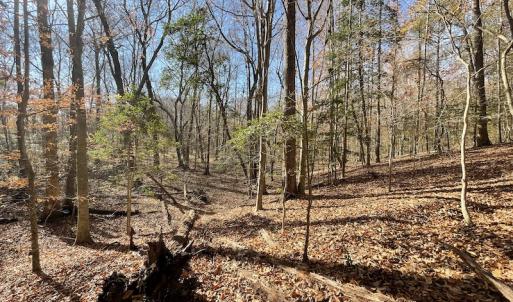 Photo #13 of SOLD property in Off Old Stage Highway, Smithfield, VA 11.4 acres