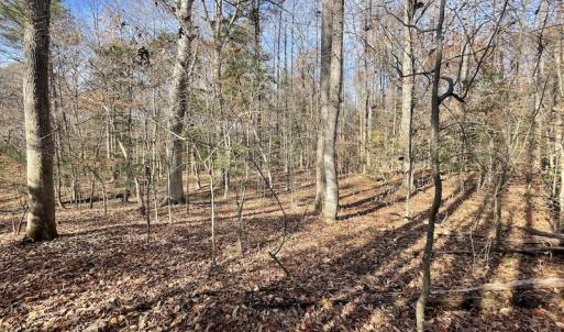 Photo #14 of SOLD property in Off Old Stage Highway, Smithfield, VA 11.4 acres