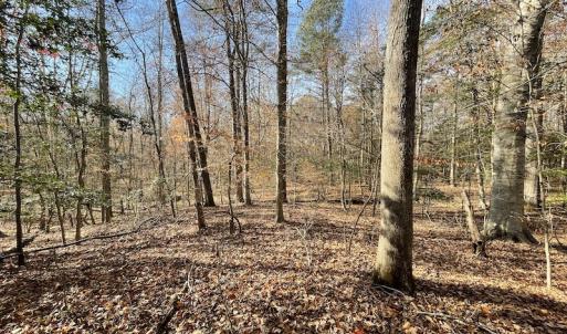 Photo #15 of SOLD property in Off Old Stage Highway, Smithfield, VA 11.4 acres