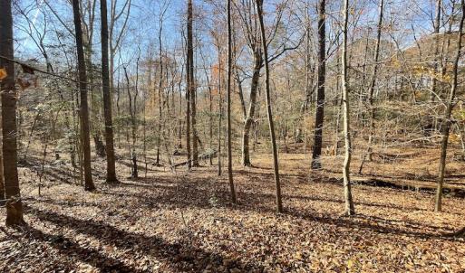 Photo #16 of SOLD property in Off Old Stage Highway, Smithfield, VA 11.4 acres