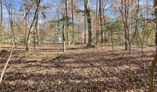 Photo #17 of SOLD property in Off Old Stage Highway, Smithfield, VA 11.4 acres