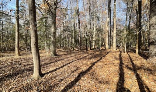 Photo #18 of SOLD property in Off Old Stage Highway, Smithfield, VA 11.4 acres