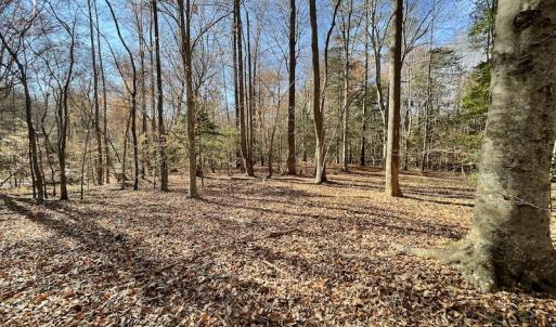 Photo #19 of SOLD property in Off Old Stage Highway, Smithfield, VA 11.4 acres