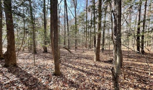 Photo #20 of SOLD property in Off Old Stage Highway, Smithfield, VA 11.4 acres