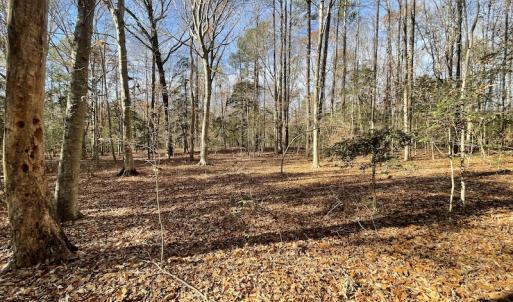 Photo #21 of SOLD property in Off Old Stage Highway, Smithfield, VA 11.4 acres